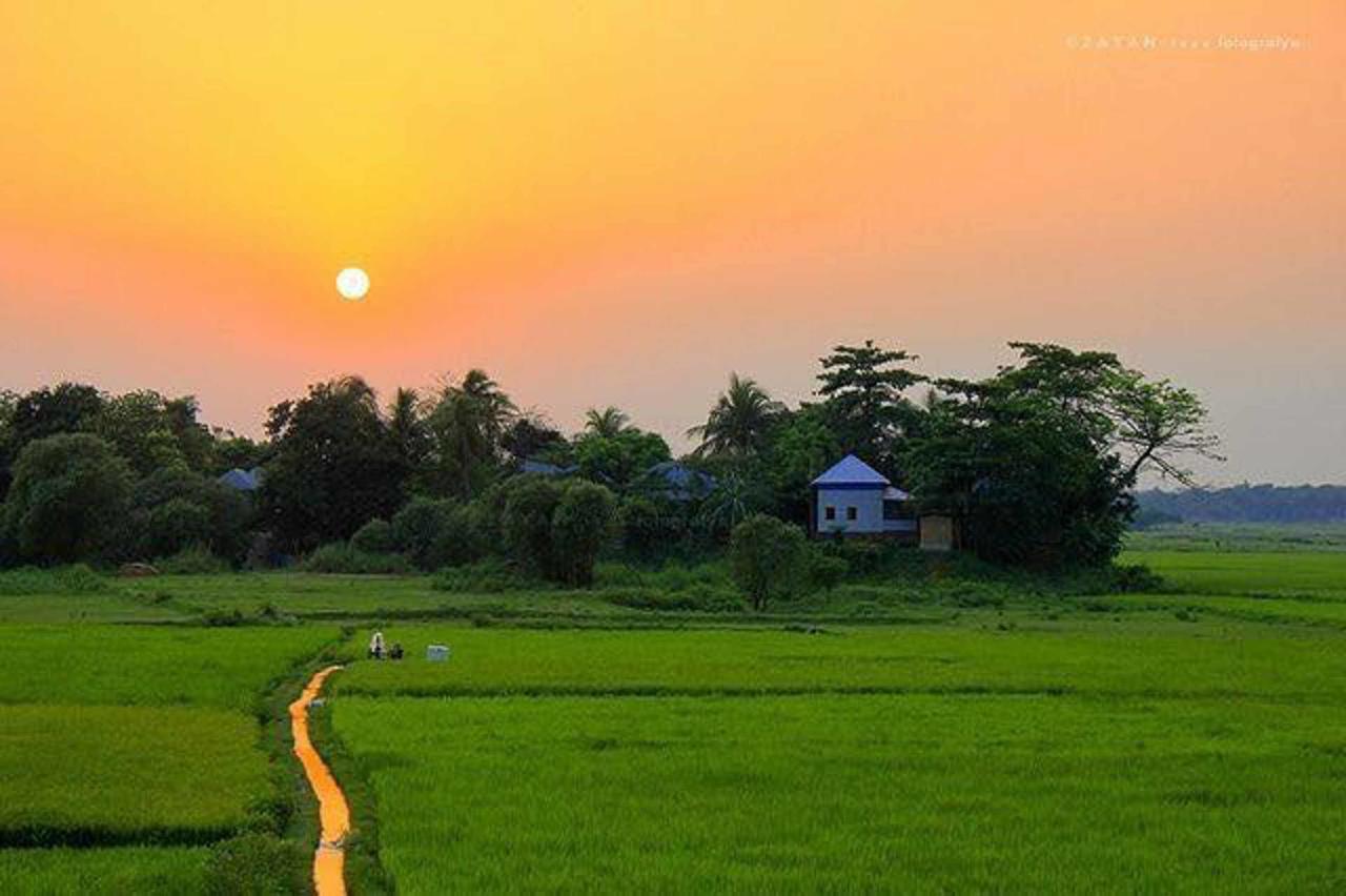 Coconut Park Bed and Breakfast Anuradhapura Exterior foto